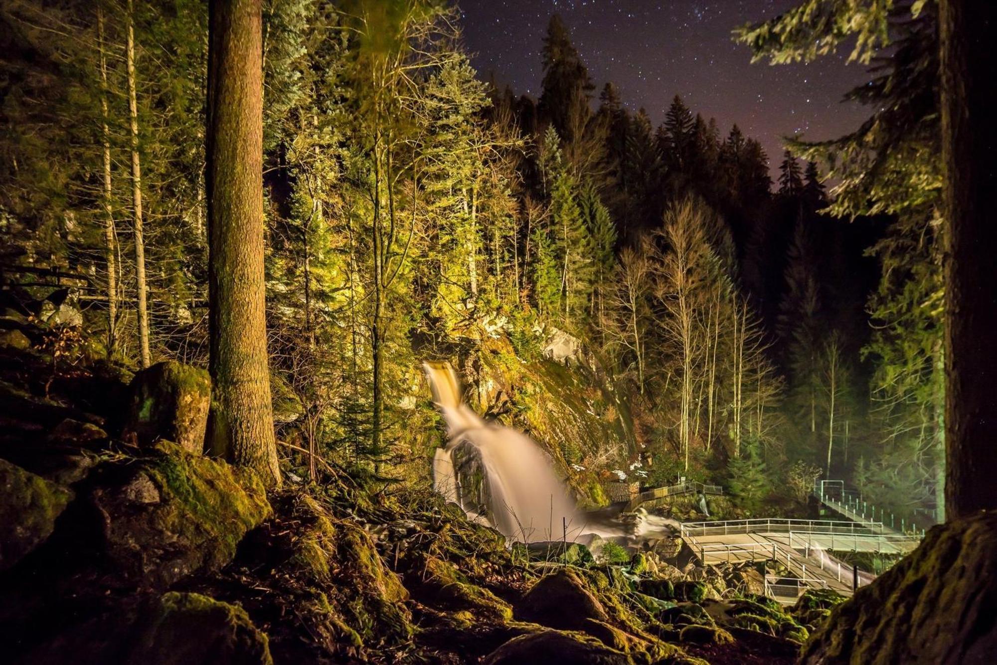 Ferienhaus Am Roesslewald Breitnau Εξωτερικό φωτογραφία